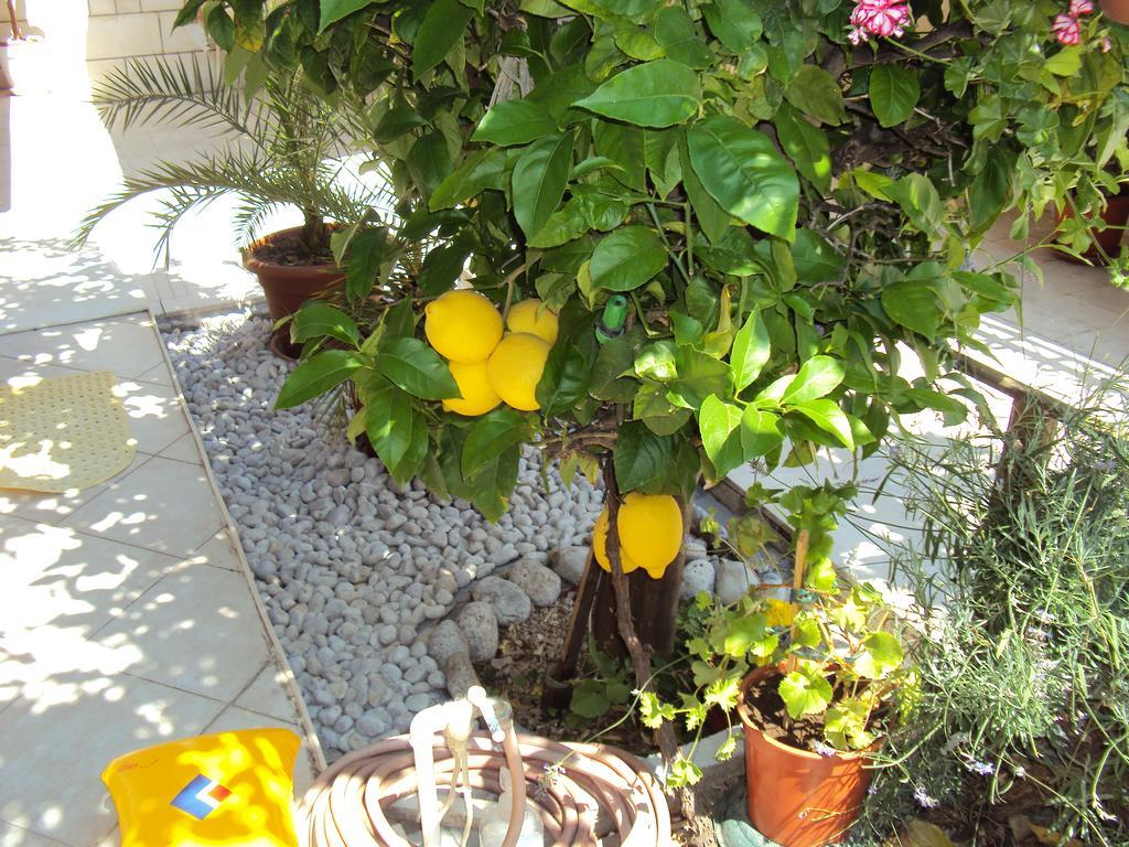 Apartment Lemon Dubrovník Exteriér fotografie